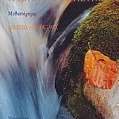Η κραυγή της πέτρας