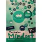 Burlington Mindset B1 Companion Burlington Mindset B1 Companion