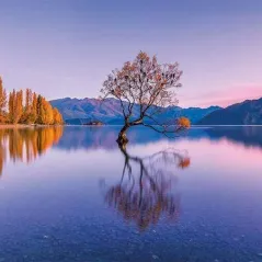 Παζλ Panorama Δέντρο στη Λίμνη Wanaka High Quality 1000 κομμάτια Clementoni 39608